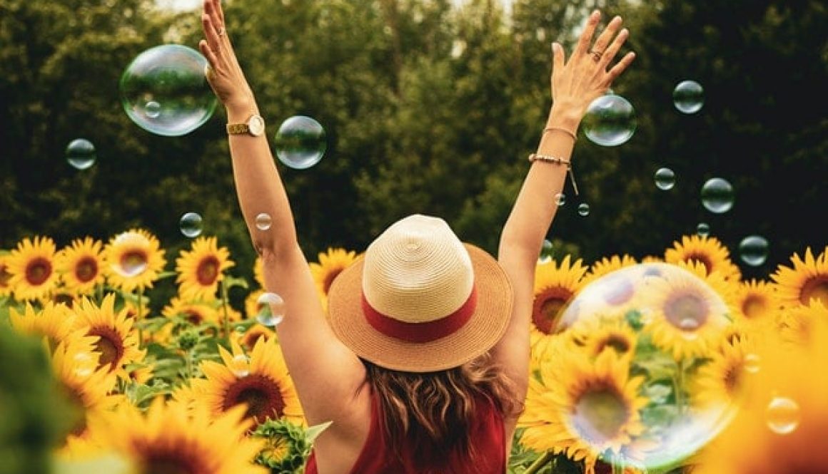 pexels-andre-furtado-1263986